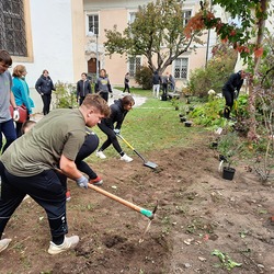 Die Gruppe 2 des BORG Hartberg sorgt rund um die Kirche in Hartberg für eine neue Bepflanzung. Zuerst wurde etwas vom Altbestand ausgegraben und Verwucherungen beseitigt. Aber bereits Donnerstag zu Mittag konnte man viele neue verschiedene und bunte 